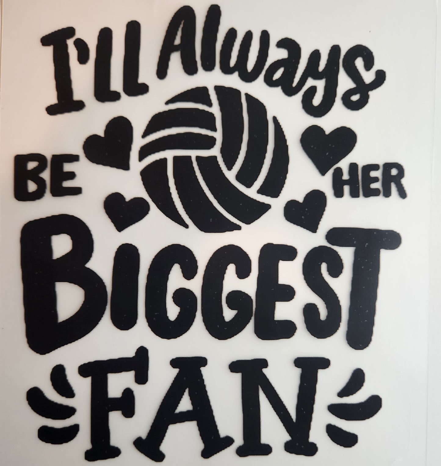 Volleyball Fan