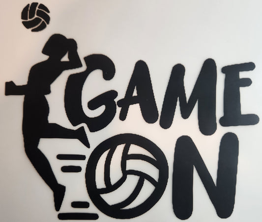 Volleyball Game On