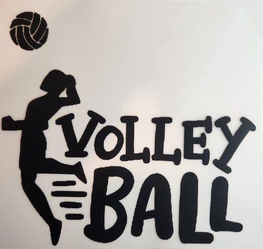 Volleyball