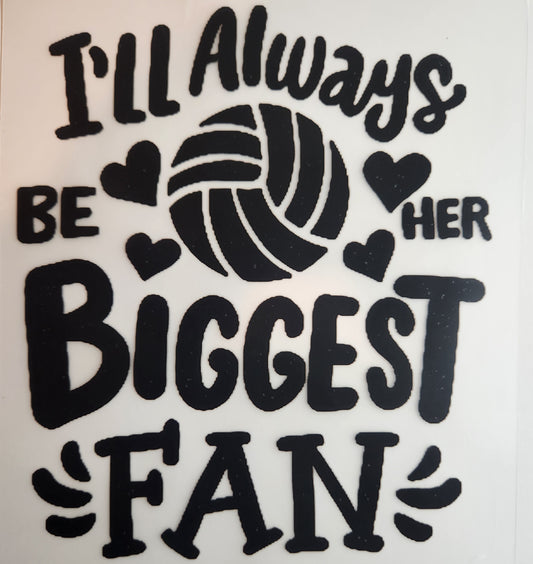 Volleyball Fan